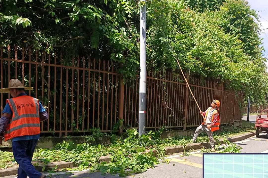 园林绿化养护修剪